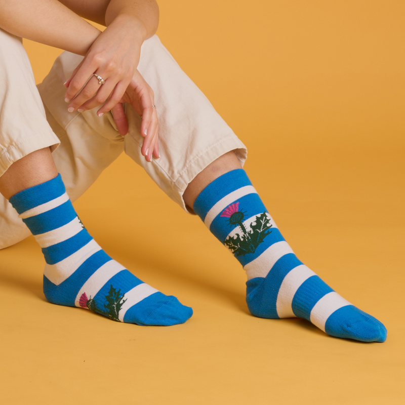 Scotland Stripe Sock